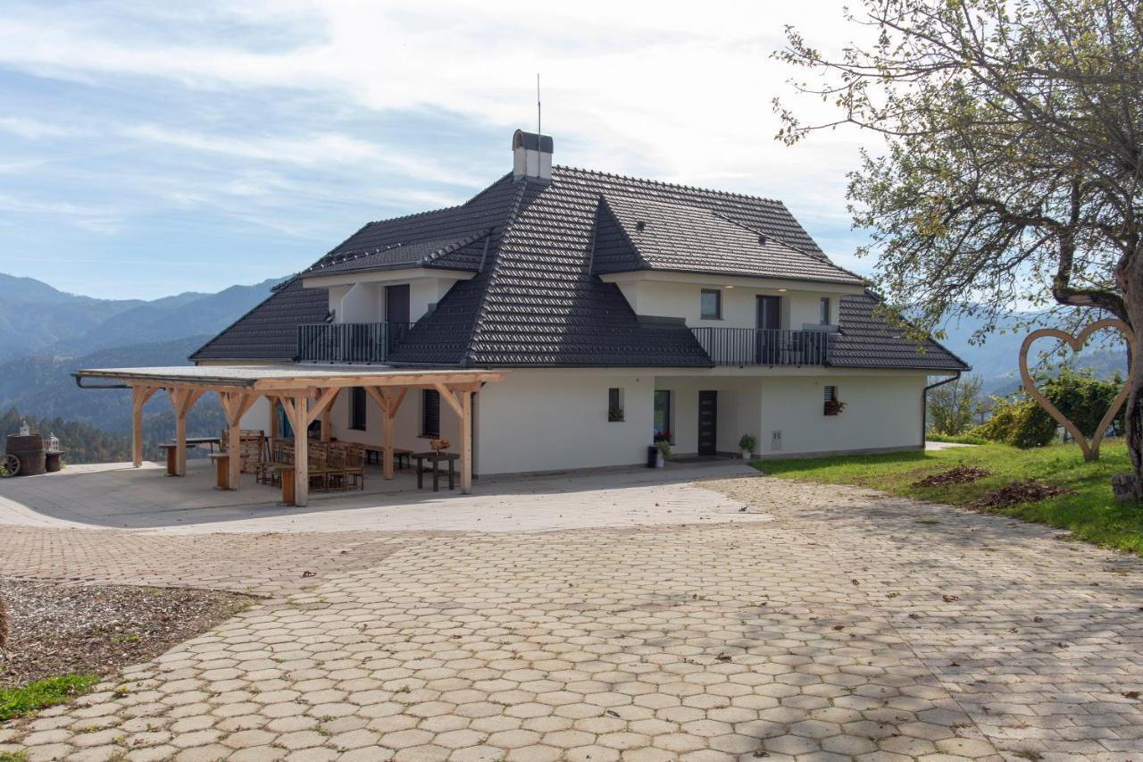 Vila Marin Miler Prevalje Extérieur photo