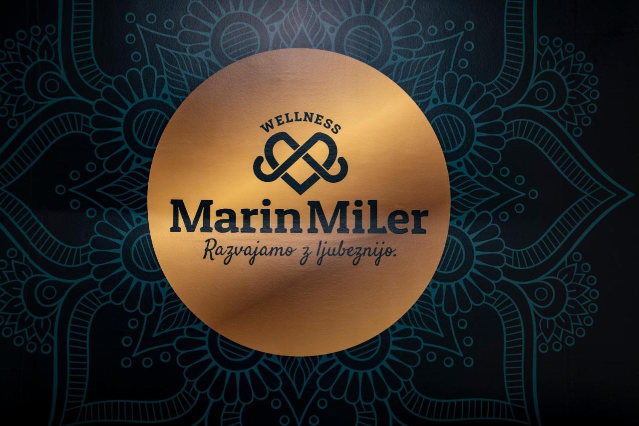 Vila Marin Miler Prevalje Extérieur photo